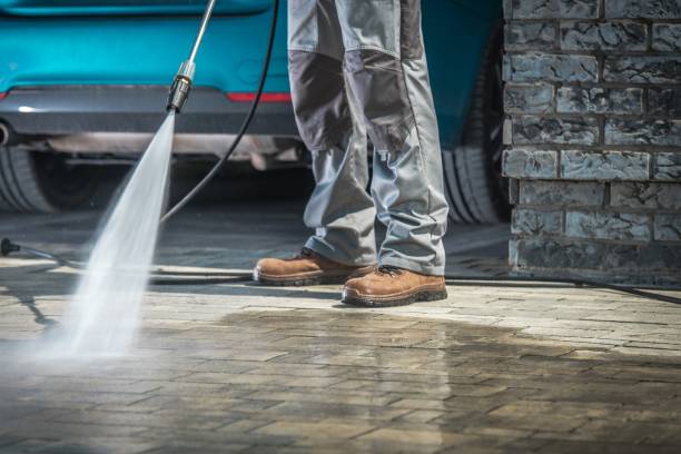 Best Fleet Vehicle Washing  in Parkland, FL